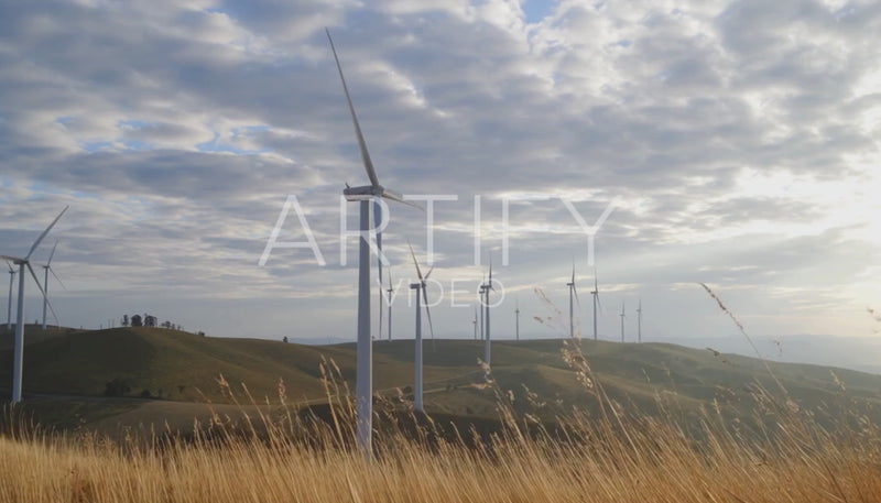 Wind Turbine Field