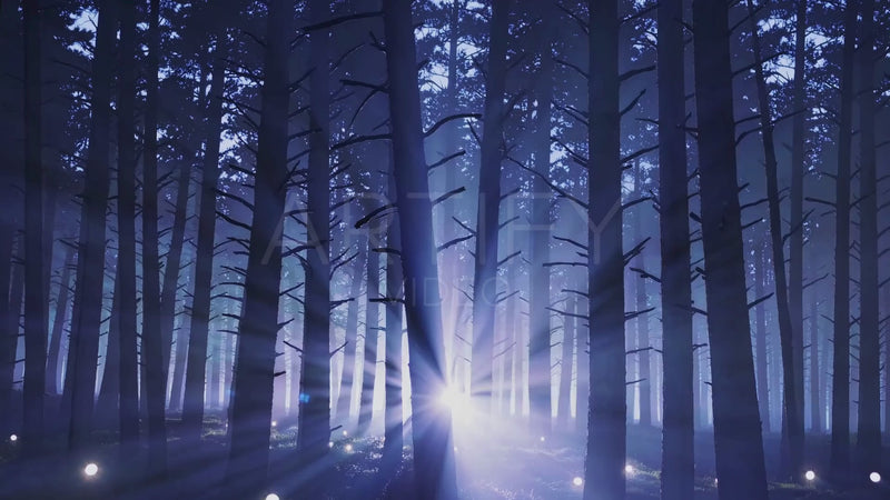 Forest Searchlight Through Trees