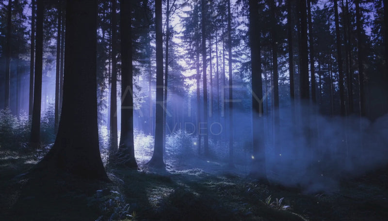 Mystical Forest