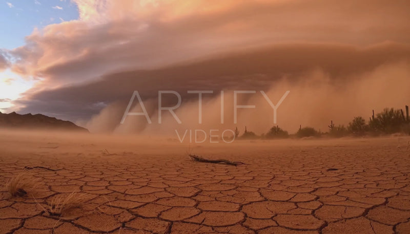 Desert Sandstorm